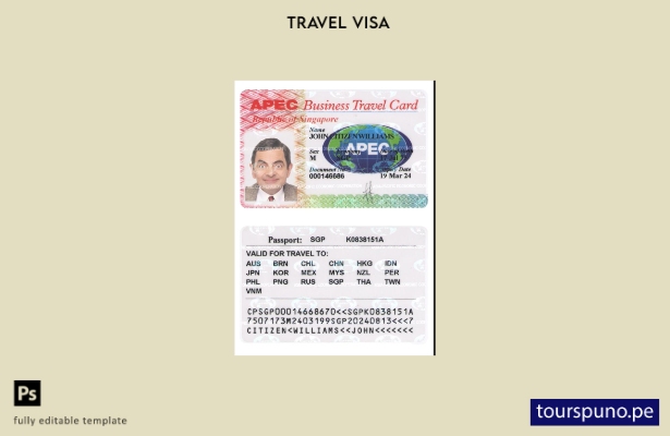 Plantilla de tarjeta de viaje de negocios de Singapur lista para imprimir